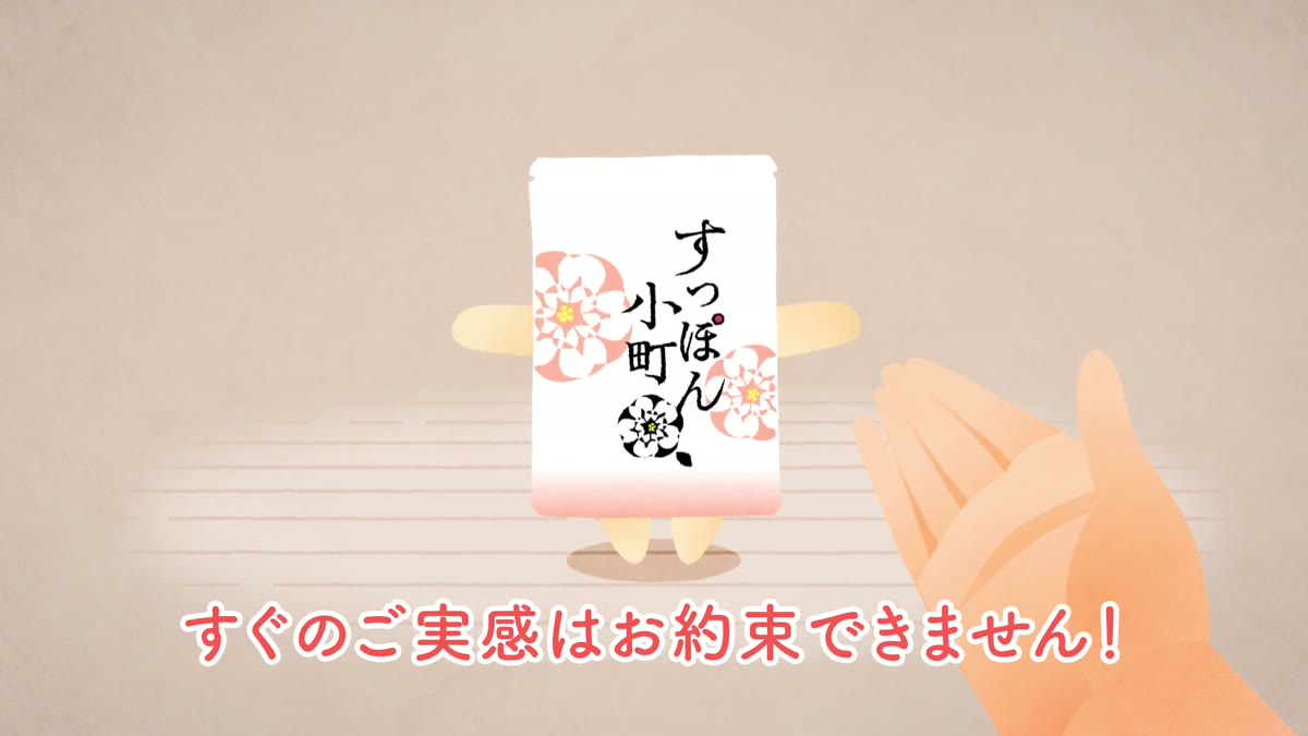 擬人化したサプリメント「すっぽん小町」が面接官に「すぐのご実感はお約束できません！」と正直に答えているアニメーションのワンシーン